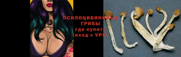 мяу мяу кристалл Елизово