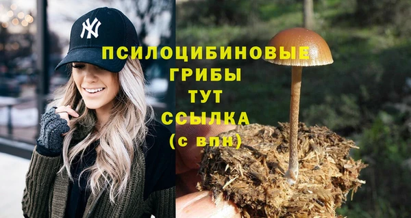мяу мяу кристалл Елизово