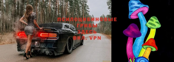 стаф Елабуга